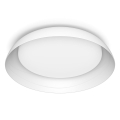 Philips - Himmennettävä LED-kattovalaisin FLETA SCENE SWITCH LED/10W/230V 4000K valkoinen