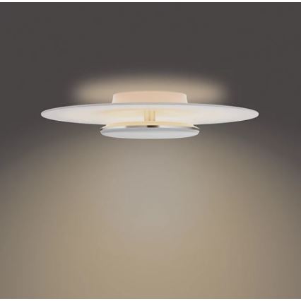 Philips- Himmennettävä LED-kattovalaisin SCENE SWITCH LED/40W/230V 2700K hopea