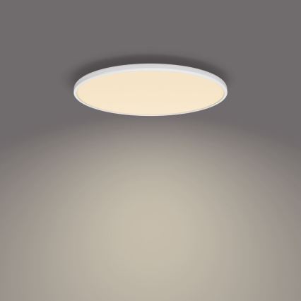 Philips - Himmennettävä LED-kattovalaisin SCENE SWITCH LED/36W/230V halkaisija 50 cm 2700K valkoinen