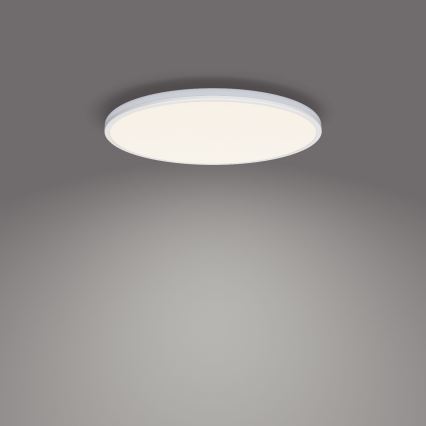 Philips - Himmennettävä LED-kattovalaisin SCENE SWITCH LED/36W/230V halkaisija 50 cm 4000K valkoinen