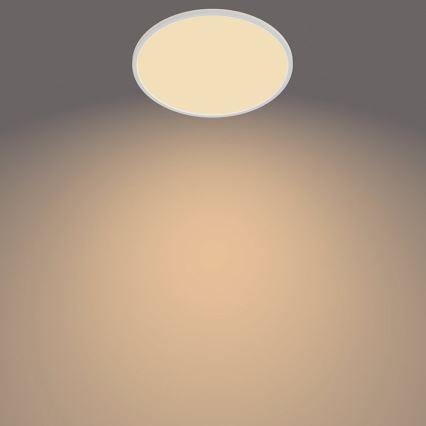 Philips - Himmennettävä LED-kattovalaisin KUVAKYTKIN LED / 22W / 230V