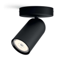 Philips - Kohdevalo 1xGU10/5,5W/230V