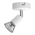 Philips - Kohdevalo 1xGU10/50W/230V valkoinen