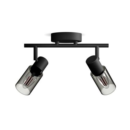 Philips - Kohdevalo PALMS 2xE14/25W/230V