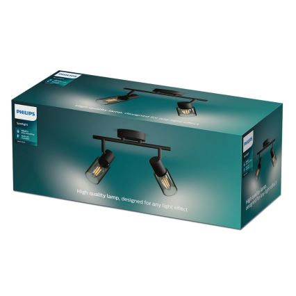 Philips - Kohdevalo PALMS 2xE14/25W/230V