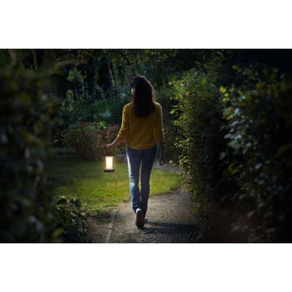 Philips - LED Himmennettävä kannettava lamppu CICERO LED/6W/5V IP54