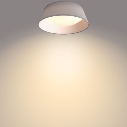 Philips - LED-kattovalaisin LED/14W/230V harmaa