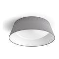 Philips - LED-kattovalaisin LED/14W/230V harmaa
