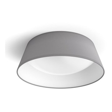 Philips - LED-kattovalaisin LED/14W/230V harmaa