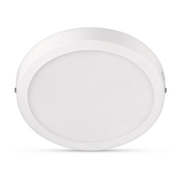 Philips - LED-kattovalaisin MAGNEOS LED / 12W / 230V 2700K valkoinen