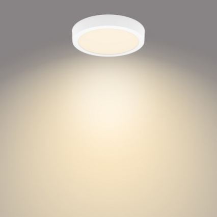 Philips - LED-kattovalaisin MAGNEOS LED / 12W / 230V 2700K valkoinen