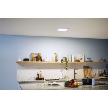 Philips - LED-kattovalaisin MAGNEOS LED / 12W / 230V 4000K valkoinen