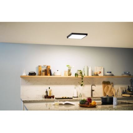Philips - LED-kattovalaisin MAGNEOS LED / 20W / 230V 2700K musta