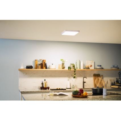 Philips - LED-kattovalaisin MAGNEOS LED / 20W / 230V 2700K valkoinen