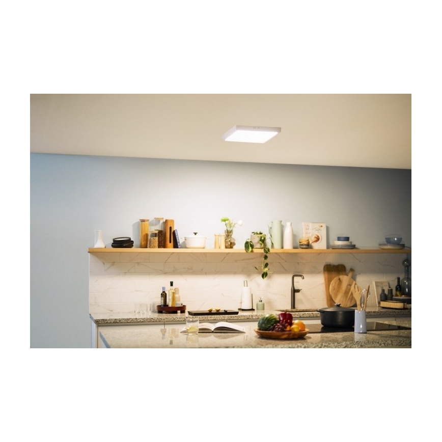 Philips - LED-kattovalaisin MAGNEOS LED / 20W / 230V 2700K valkoinen
