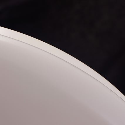 Philips - LED-kattovalaisin 1xLED/17W/230V 2700K