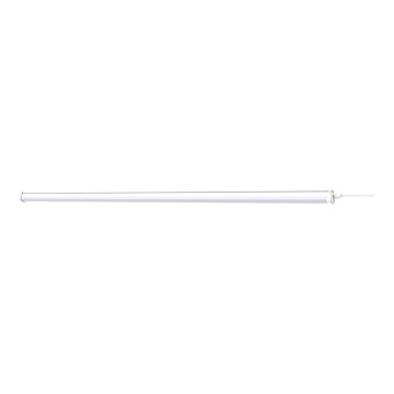 Philips - LED Kestävä valo PROJECTLINE LED/54W/230V 150 cm IP65