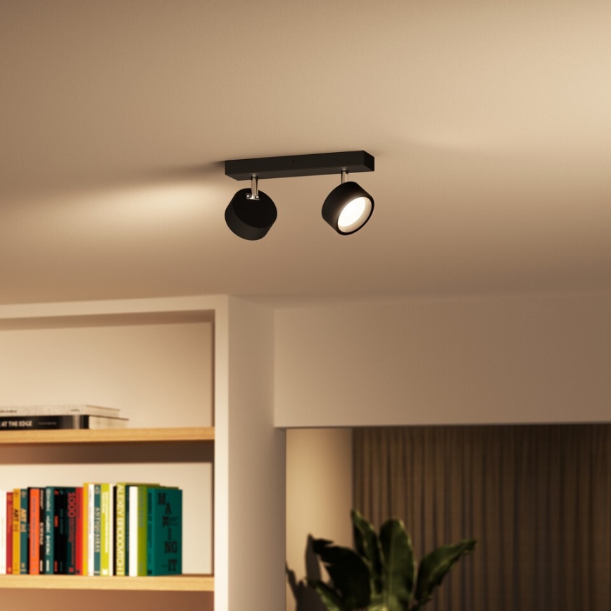 Philips - LED-kohdevalaisin 2xLED/5,5W/230V musta