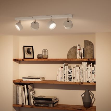 Philips - LED-kohdevalaisin 4xLED/5,5W/230V valkoinen