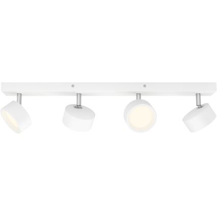 Philips - LED-kohdevalaisin 4xLED/5,5W/230V valkoinen