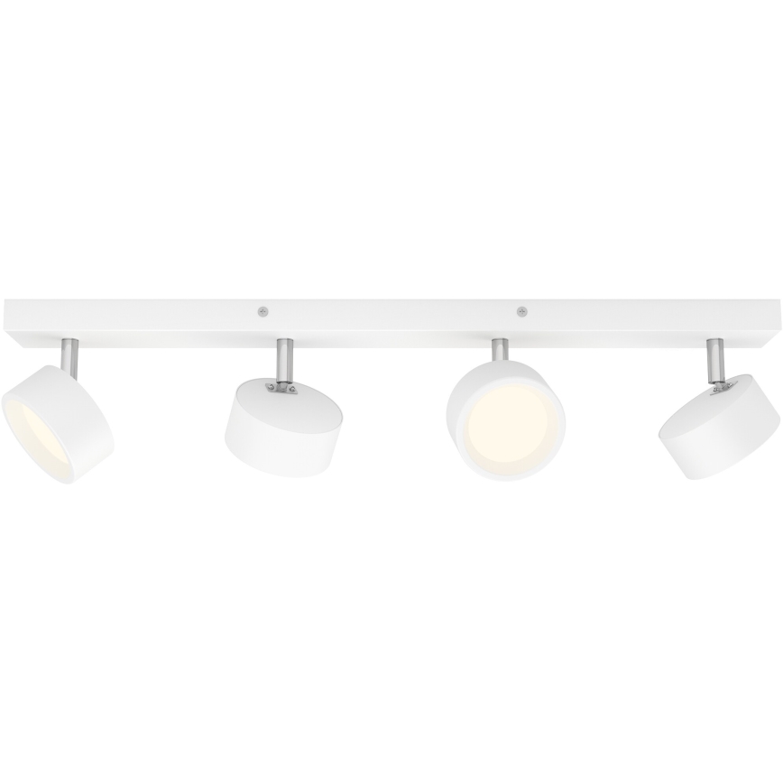 Philips - LED-kohdevalaisin 4xLED/5,5W/230V valkoinen