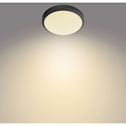 Philips - LED-Kylpyhuoneen kattovalaisin DORIS LED / 6W / 230V IP44