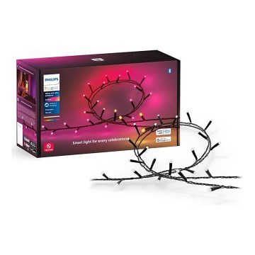 Philips - LED RGBW Himmennettävä ulko ketju HUE WHITE AND COLOR AMBIANCE 250xLED 24,4 m 2000-6500K IP54