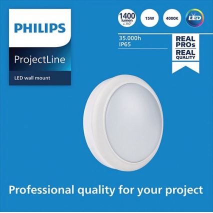 Philips - LED Seinävalo PROJECTLINE LED/15W/230V IP65