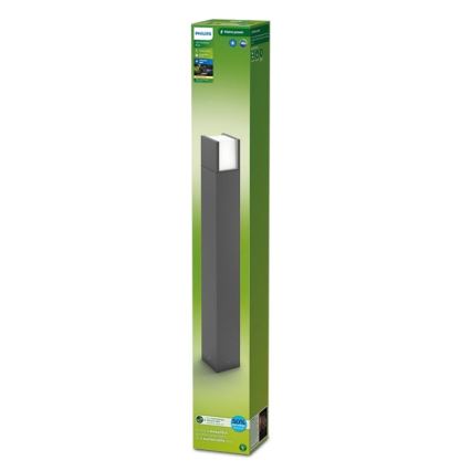 Philips - LED-ulkolamppu ARBOUR LED/3,8W/230V 77 cm 2700K IP44