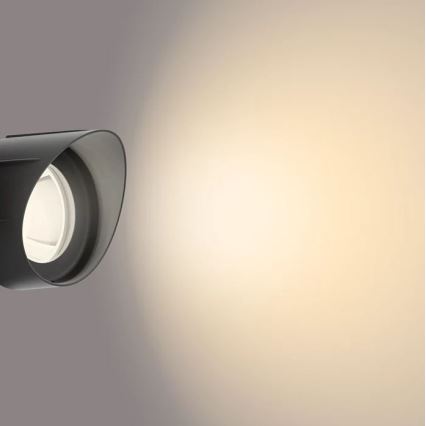 Philips - LED-ulkovalaisin LED/6W/12V 2700K IP44