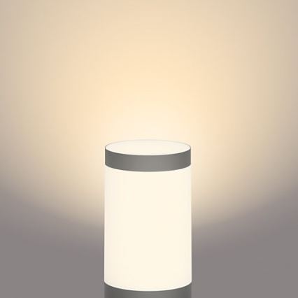 Philips - LED-ulkovalaisin GARDENLINK LED/24W/230V 2700K IP44