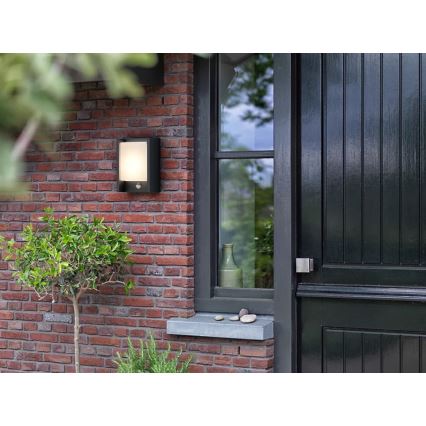 Philips - LED Ulkovalo anturilla ARBOUR LED/3,8W/230V 2700K IP44