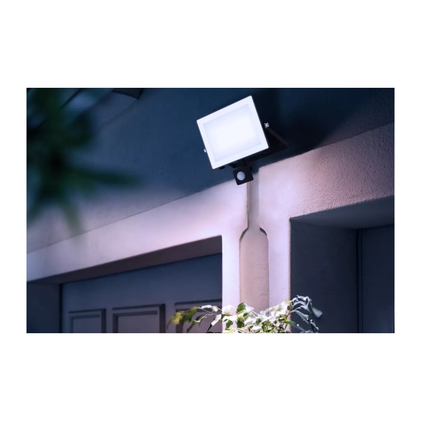 Philips - LED-valonheitin anturilla LOIS LED/50W/230V IP65 5000K