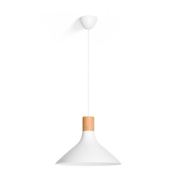 Philips - Riippukattovalaisin E27/60W/230V