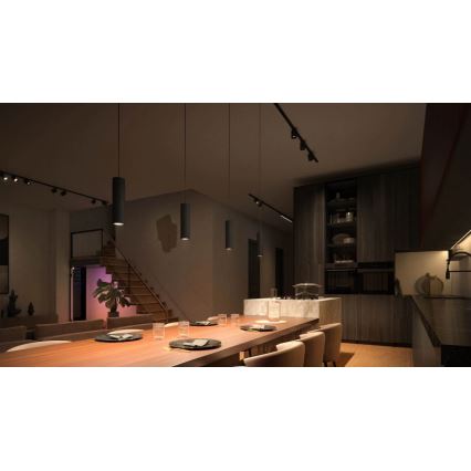 Philips - SETTI 3x LED RGBW Himmennettävä kattokruuu johdossa kiskojärjestelmään Hue PERIFO LED/15,6W/230V 2000-6500K