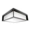 Philips - Ulkokattovalo SKIES 2xE27/14W/230V IP44 antrasiitti