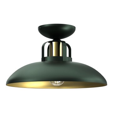 Pinta-asetettava kattokruunu FELIX 1xE27/60W/230V vihreä