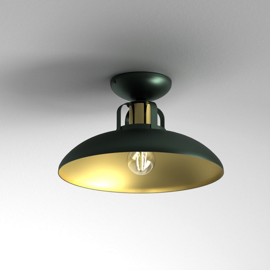 Pinta-asetettava kattokruunu FELIX 1xE27/60W/230V vihreä
