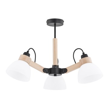 Pintakiinnitteinen kattovalaisin DANTONA 3xE27/15W/230V musta/beige