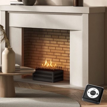 Planika - BIO takka kaukosäätimellä 20,8x38,5 cm 2,5kW/230V musta
