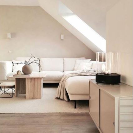 Planika - BIO takka 36,3x25,1 cm 2,5kW musta