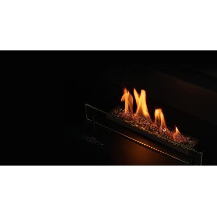 Planika - Sisäänrakennettu universaali BIO takka kaukosäätimellä 56,2x75 cm 2,5kW/230V