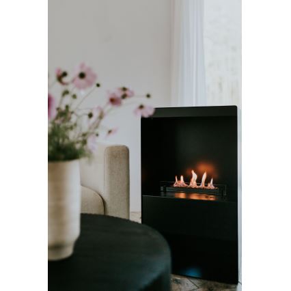 Planika - BIO takka kaukosäätimellä 83,5x48 cm 2,5kW/230V musta