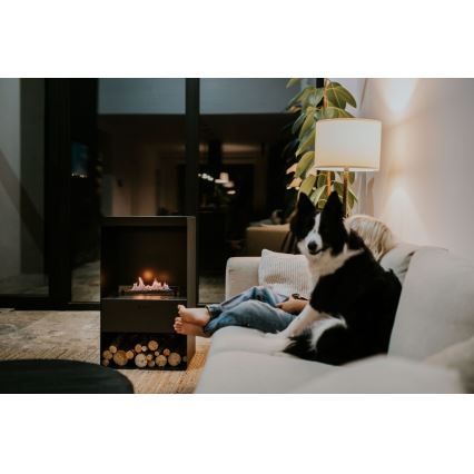 Planika - BIO takka kaukosäätimellä 83,5x48 cm 2,5kW/230V musta