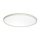 Prezent 27304 - LED-kattovalaisin kylpyhuoneeseen CORDIA LED/12W/230V 3000/6000K IP54 valkoinen