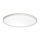 Prezent 27306 - LED-kattovalaisin kylpyhuoneeseen CORDIA LED/18W/230V 3000/6000K IP54 valkoinen