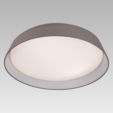 Prezent 45130 - LED-kattovalaisin VASCO 1xLED/24W/230V