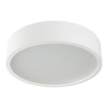 Puinen kattovalaisin JASMIN 1xE27/20W/230V mänty ø 27,5 cm