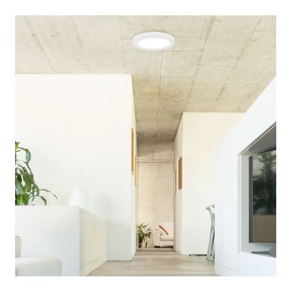 Rabalux - LED-kattovalaisin anturilla LED/18W/230V 4000K 22,5 cm