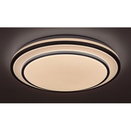 Rabalux - Himennettävä LED-kattovalaisin LED/40W/230V 3000-6500K hopea halkaisija 49 cm + kaukosäädin